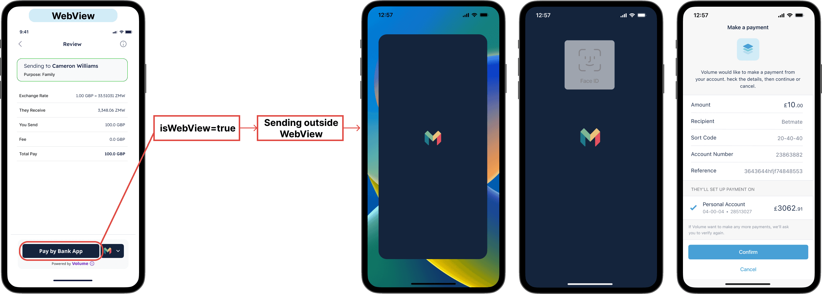 Correct Webview Handling
